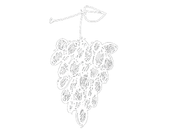 logo_grape Martin Knab Weinbau-Sachverständiger